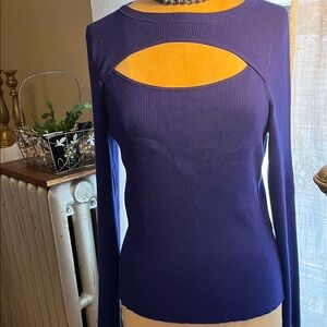 Elegant Blue Women's Top